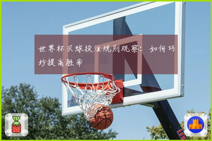 世界杯买球投注规则观察：如何巧妙提高胜率