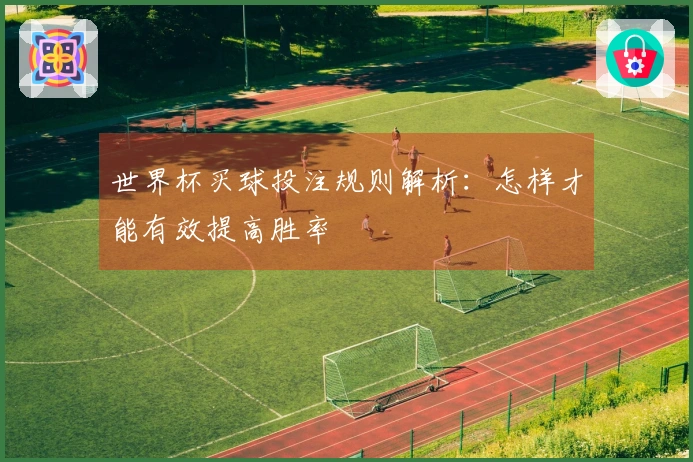 世界杯买球投注规则解析：怎样才能有效提高胜率