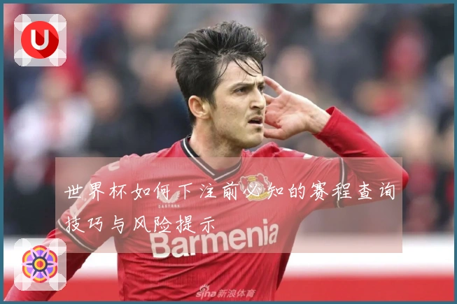 世界杯如何下注前必知的赛程查询技巧与风险提示