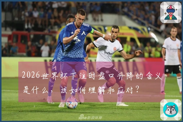 2026世界杯下注时盘口升降的含义是什么，该如何理解和应对？
