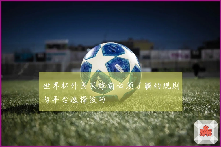 世界杯外围买球前必须了解的规则与平台选择技巧