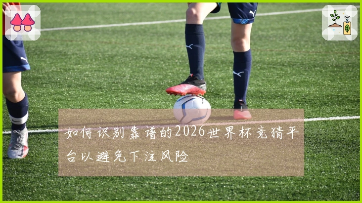如何识别靠谱的2026世界杯竞猜平台以避免下注风险