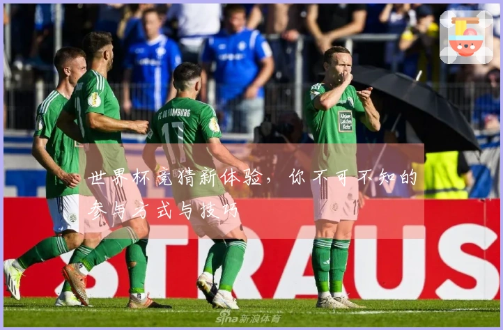 世界杯竞猜新体验，你不可不知的参与方式与技巧