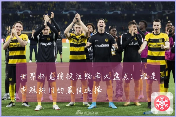 世界杯竞猜投注赔率大盘点：谁是夺冠热门的最佳选择
