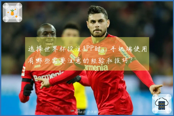 选择世界杯投注APP时，手机端使用有哪些需要注意的经验和技巧？