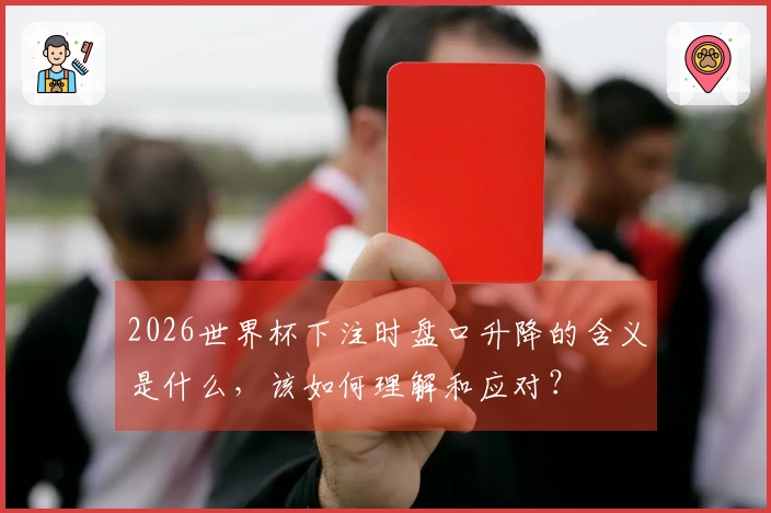 2026世界杯下注时盘口升降的含义是什么，该如何理解和应对？