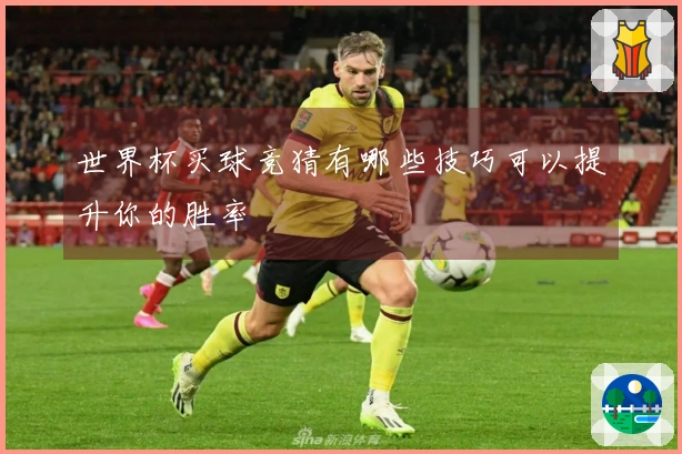 世界杯买球竞猜有哪些技巧可以提升你的胜率