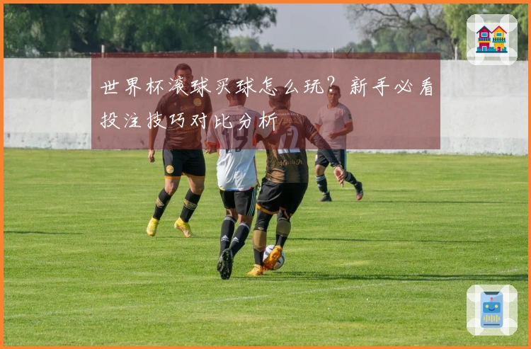 世界杯滚球买球怎么玩？新手必看投注技巧对比分析