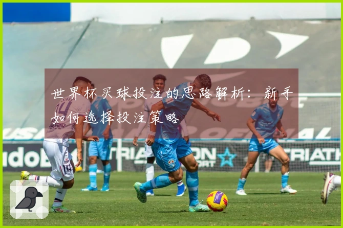 世界杯买球投注的思路解析：新手如何选择投注策略