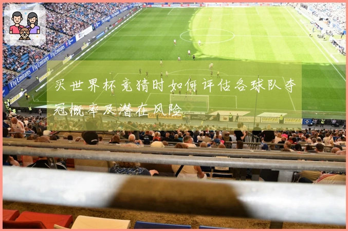 买世界杯竞猜时如何评估各球队夺冠概率及潜在风险