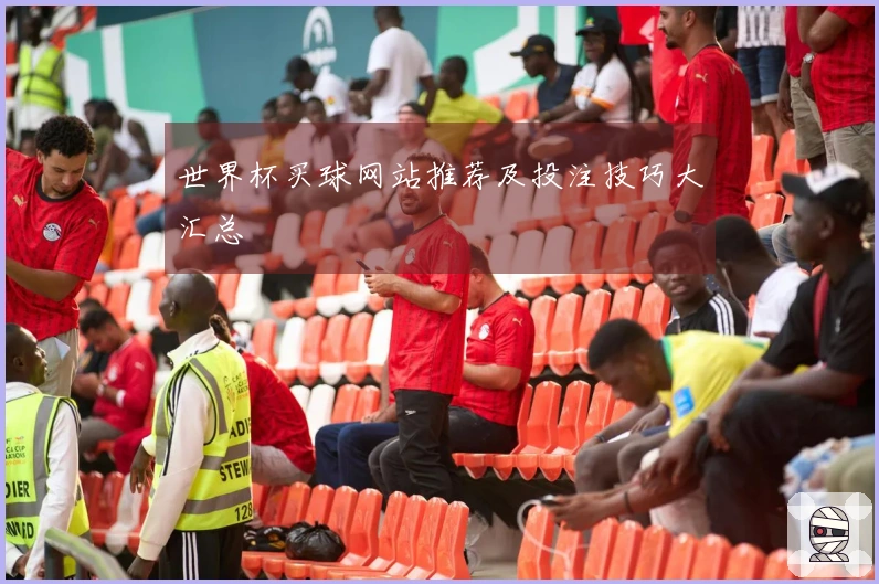 世界杯买球网站推荐及投注技巧大汇总