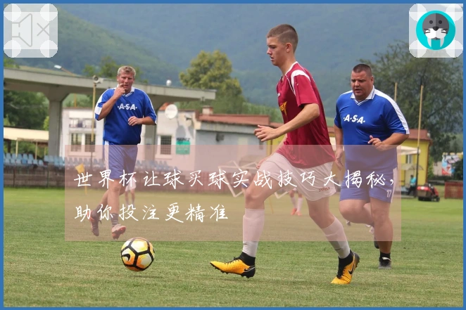 世界杯让球买球实战技巧大揭秘,助你投注更精准
