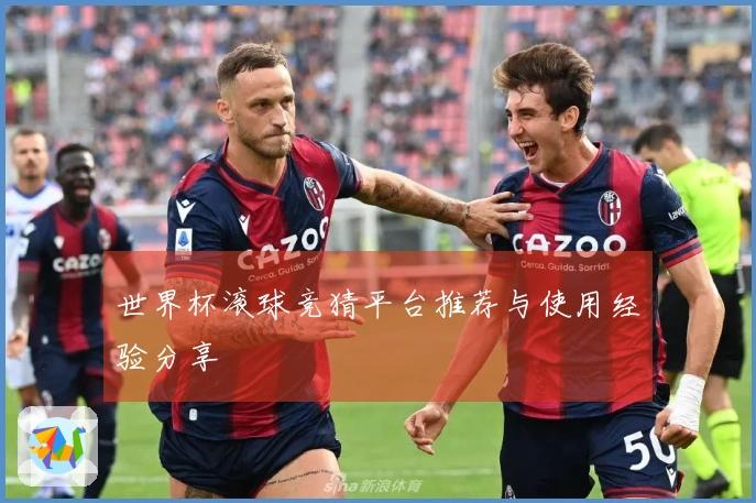 世界杯滚球竞猜平台推荐与使用经验分享