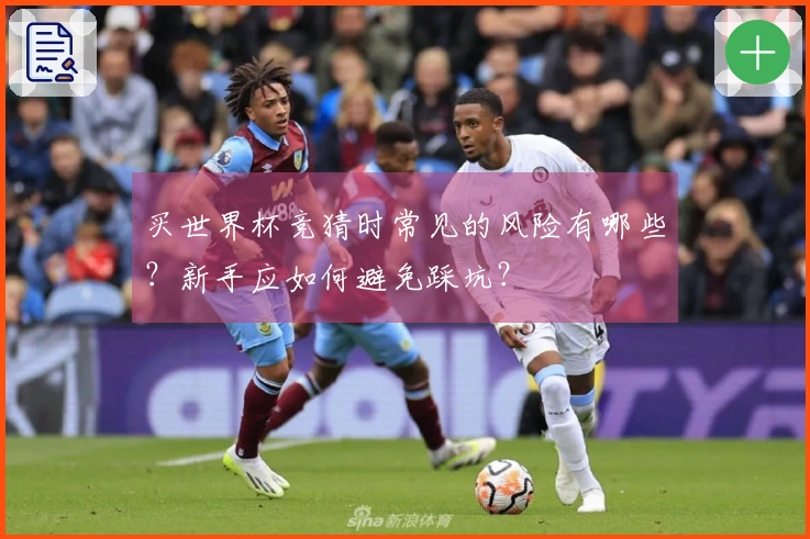 买世界杯竞猜时常见的风险有哪些？新手应如何避免踩坑？