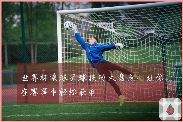 世界杯滚球买球技巧大盘点，让你在赛事中轻松获利