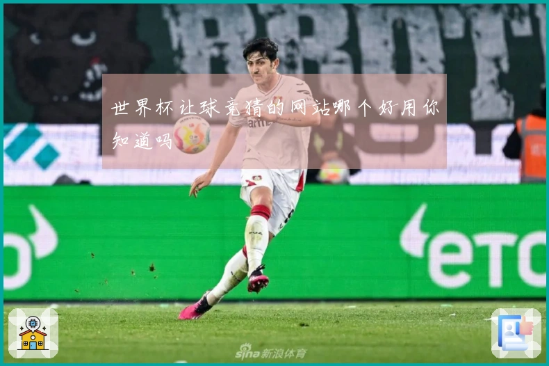 世界杯让球竞猜的网站哪个好用你知道吗
