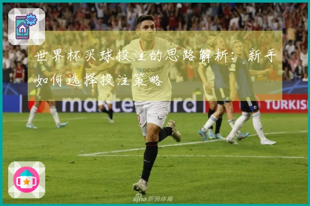 世界杯买球投注的思路解析：新手如何选择投注策略