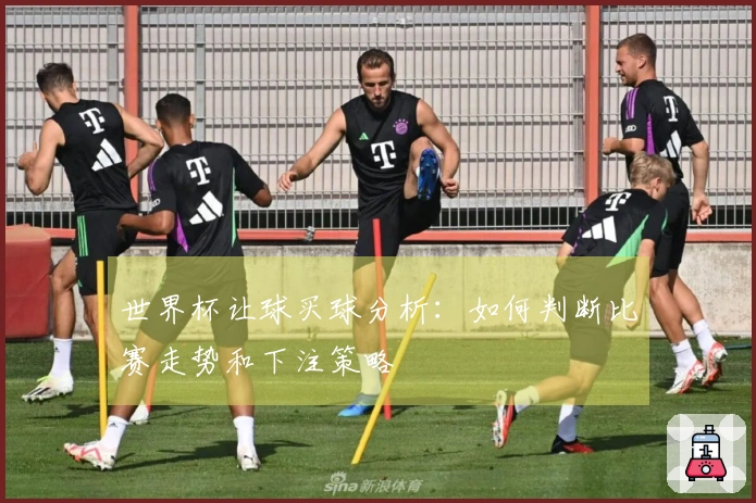 世界杯让球买球分析：如何判断比赛走势和下注策略