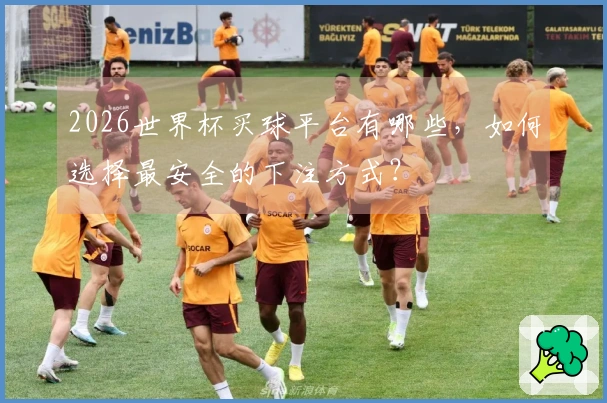 2026世界杯买球平台有哪些，如何选择最安全的下注方式？