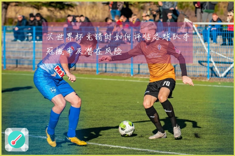 买世界杯竞猜时如何评估各球队夺冠概率及潜在风险