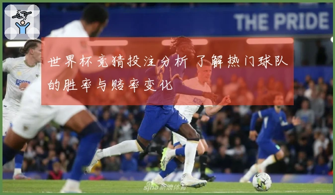 世界杯竞猜投注分析 了解热门球队的胜率与赔率变化