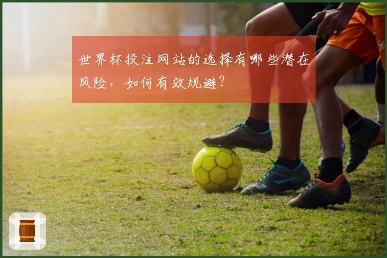 世界杯投注网站的选择有哪些潜在风险，如何有效规避？