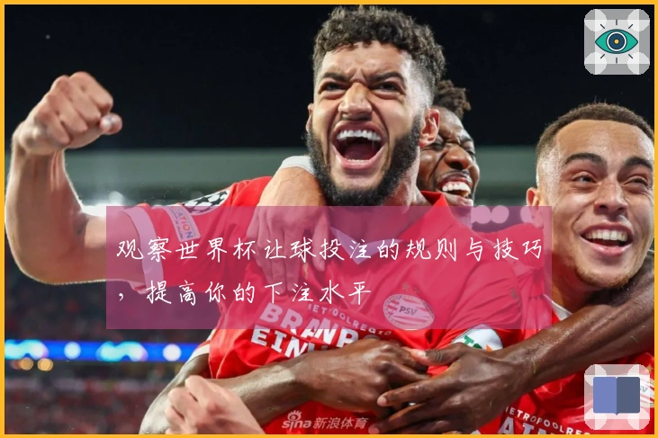 观察世界杯让球投注的规则与技巧，提高你的下注水平
