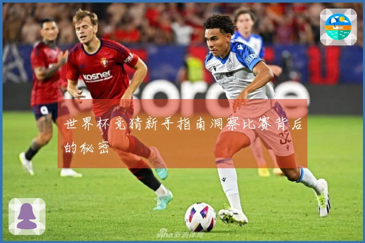 世界杯竞猜新手指南洞察比赛背后的秘密