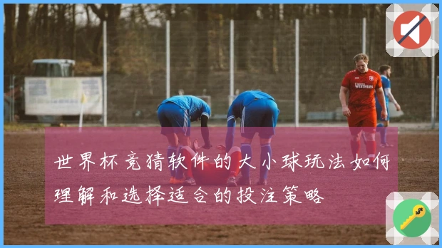 世界杯竞猜软件的大小球玩法如何理解和选择适合的投注策略