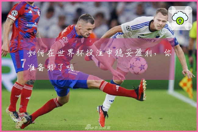 如何在世界杯投注中稳妥盈利，你准备好了吗