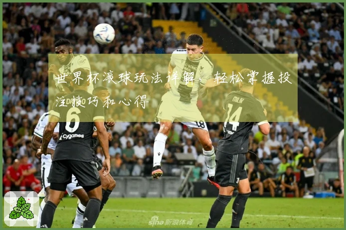 世界杯滚球玩法详解，轻松掌握投注技巧和心得