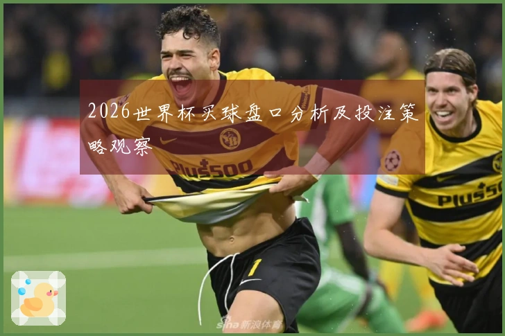 2026世界杯买球盘口分析及投注策略观察