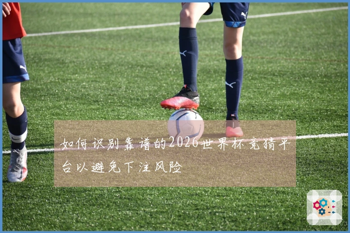 如何识别靠谱的2026世界杯竞猜平台以避免下注风险
